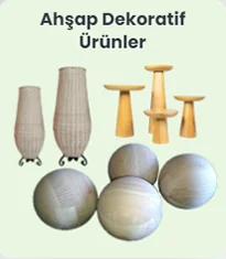 Anasayfa