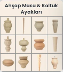 Anasayfa