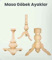 Anasayfa